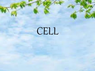 CELL
 