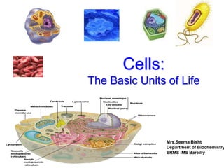 cell.ppt