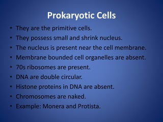 Prokaryotic Cells
• They are the primitive cells.
• They possess small and shrink nucleus.
• The nucleus is present near the cell membrane.
• Membrane bounded cell organelles are absent.
• 70s ribosomes are present.
• DNA are double circular.
• Histone proteins in DNA are absent.
• Chromosomes are naked.
• Example: Monera and Protista.
 