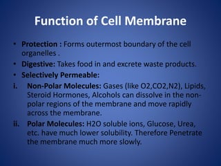 Function of Cell Membrane
• Protection : Forms outermost boundary of the cell
organelles .
• Digestive: Takes food in and excrete waste products.
• Selectively Permeable:
i. Non-Polar Molecules: Gases (like O2,CO2,N2), Lipids,
Steroid Hormones, Alcohols can dissolve in the non-
polar regions of the membrane and move rapidly
across the membrane.
ii. Polar Molecules: H2O soluble ions, Glucose, Urea,
etc. have much lower solubility. Therefore Penetrate
the membrane much more slowly.
 