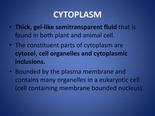 CYTOPLASM
• Thick, gel-like semitransparent fluid that is
found in both plant and animal cell.
• The constituent parts of cytoplasm are
cytosol, cell organelles and cytoplasmic
inclusions.
• Bounded by the plasma membrane and
contains many organelles in a eukaryotic cell
(cell containing membrane bounded nucleus).
 