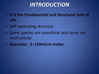 INTRODUCTION
• It is the Fundamental and Structural Unit of
Life.
• Self replicating structure.
• Some species are unicellular and some are
multicellular.
• Diameter : 2–120micro-meter.
 