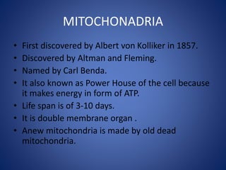 MITOCHONADRIA
• First discovered by Albert von Kolliker in 1857.
• Discovered by Altman and Fleming.
• Named by Carl Benda.
• It also known as Power House of the cell because
it makes energy in form of ATP.
• Life span is of 3-10 days.
• It is double membrane organ .
• Anew mitochondria is made by old dead
mitochondria.
 