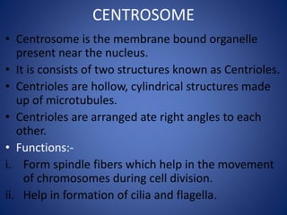 CENTROSOME
• Centrosome is the membrane bound organelle
present near the nucleus.
• It is consists of two structures known as Centrioles.
• Centrioles are hollow, cylindrical structures made
up of microtubules.
• Centrioles are arranged ate right angles to each
other.
• Functions:-
i. Form spindle fibers which help in the movement
of chromosomes during cell division.
ii. Help in formation of cilia and flagella.
 