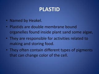 PLASTID
• Named by Heakel.
• Plastids are double membrane bound
organelles found inside plant sand some algae,
• They are responsible for activities related to
making and storing food.
• They often contain different types of pigments
that can change color of the cell.
 