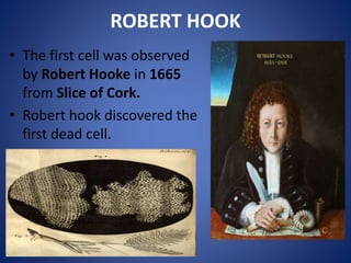 ROBERT HOOK
• The first cell was observed
by Robert Hooke in 1665
from Slice of Cork.
• Robert hook discovered the
first dead cell.
 