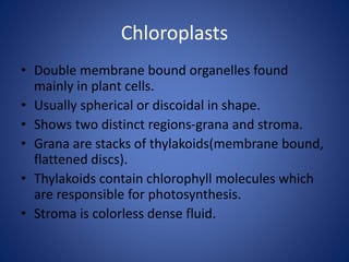 Chloroplasts
• Double membrane bound organelles found
mainly in plant cells.
• Usually spherical or discoidal in shape.
• Shows two distinct regions-grana and stroma.
• Grana are stacks of thylakoids(membrane bound,
flattened discs).
• Thylakoids contain chlorophyll molecules which
are responsible for photosynthesis.
• Stroma is colorless dense fluid.
 