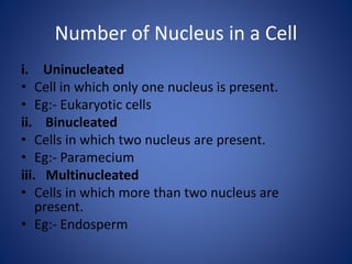 Number of Nucleus in a Cell
i. Uninucleated
• Cell in which only one nucleus is present.
• Eg:- Eukaryotic cells
ii. Binucleated
• Cells in which two nucleus are present.
• Eg:- Paramecium
iii. Multinucleated
• Cells in which more than two nucleus are
present.
• Eg:- Endosperm
 