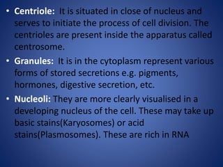 • Centriole: It is situated in close of nucleus and
serves to initiate the process of cell division. The
centrioles are present inside the apparatus called
centrosome.
• Granules: It is in the cytoplasm represent various
forms of stored secretions e.g. pigments,
hormones, digestive secretion, etc.
• Nucleoli: They are more clearly visualised in a
developing nucleus of the cell. These may take up
basic stains(Karyosomes) or acid
stains(Plasmosomes). These are rich in RNA
 