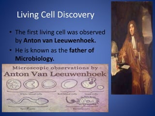 Living Cell Discovery
• The first living cell was observed
by Anton van Leeuwenhoek.
• He is known as the father of
Microbiology.
 