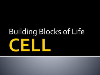 Building Blocks of Life
 