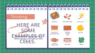 Cell Example Sentence parts and functions of the cell and cell theory | PPTX