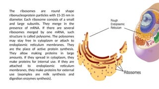 Cell.viruses on the medical biology and genetics | PPTX