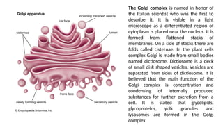 Microscope Cisternae Cell.viruses on the medical biology and genetics | PPTX