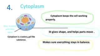 Understanding Cell Structure and Functions: The Building Blocks of Life ...
