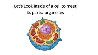 Understanding Cell Structure and Functions: The Building Blocks of Life ...