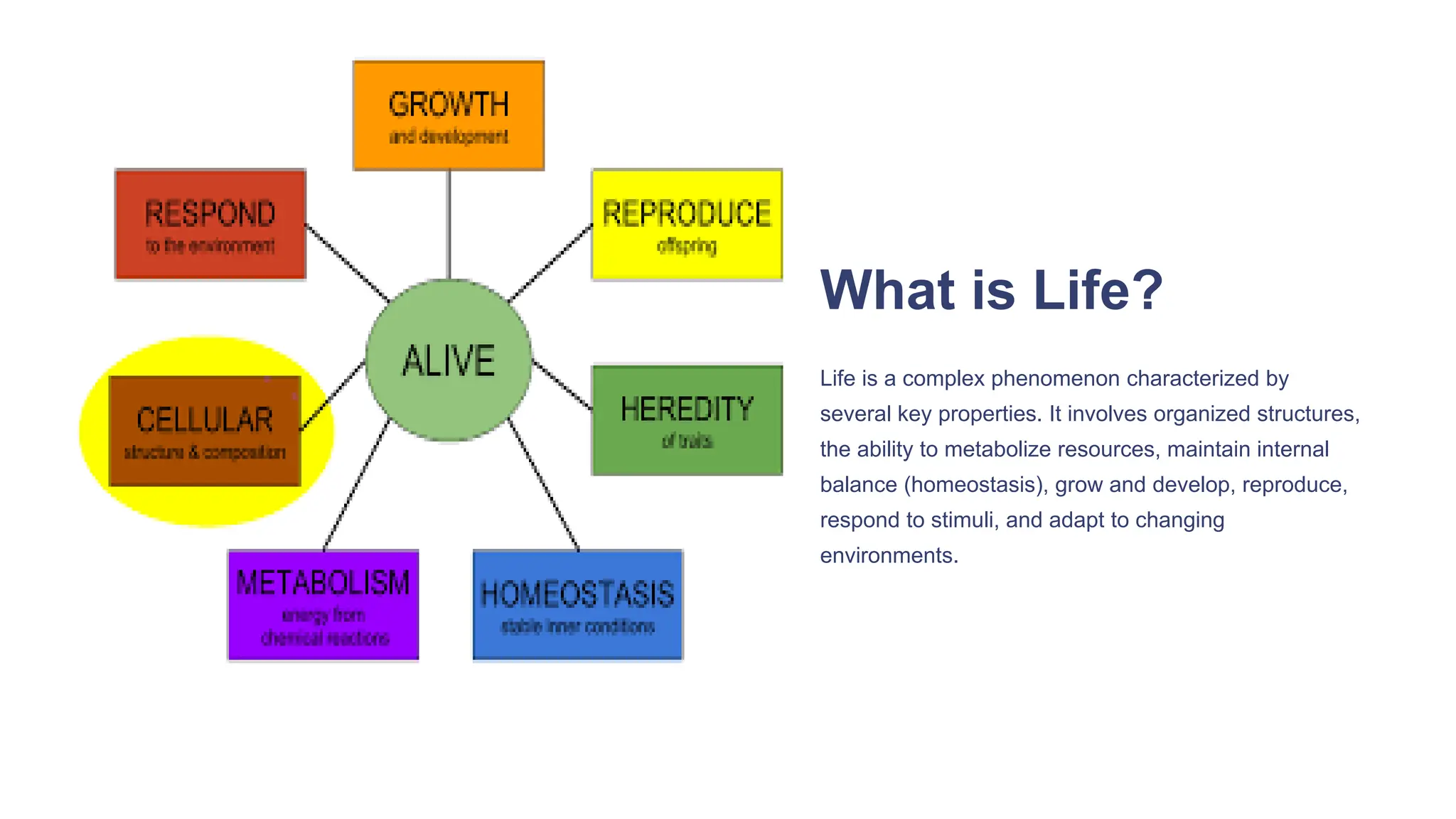 Cell-and-its-Types [Auto-saved].pptbasics in biologyx | PPT
