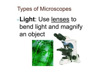 Types of Microscopes
●Light: Use lenses to
bend light and magnify
an object
 