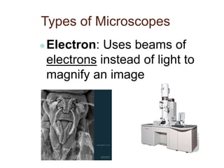 Types of Microscopes
●Electron: Uses beams of
electrons instead of light to
magnify an image
 