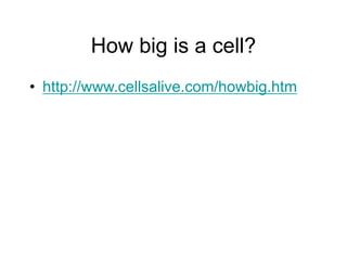 How big is a cell?
• http://www.cellsalive.com/howbig.htm
 