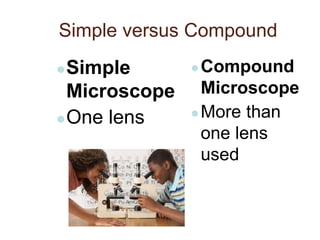 Simple versus Compound
●Simple
Microscope
●One lens
●Compound
Microscope
●More than
one lens
used
 