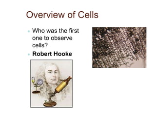 Overview of Cells
● Who was the first
one to observe
cells?
● Robert Hooke
 