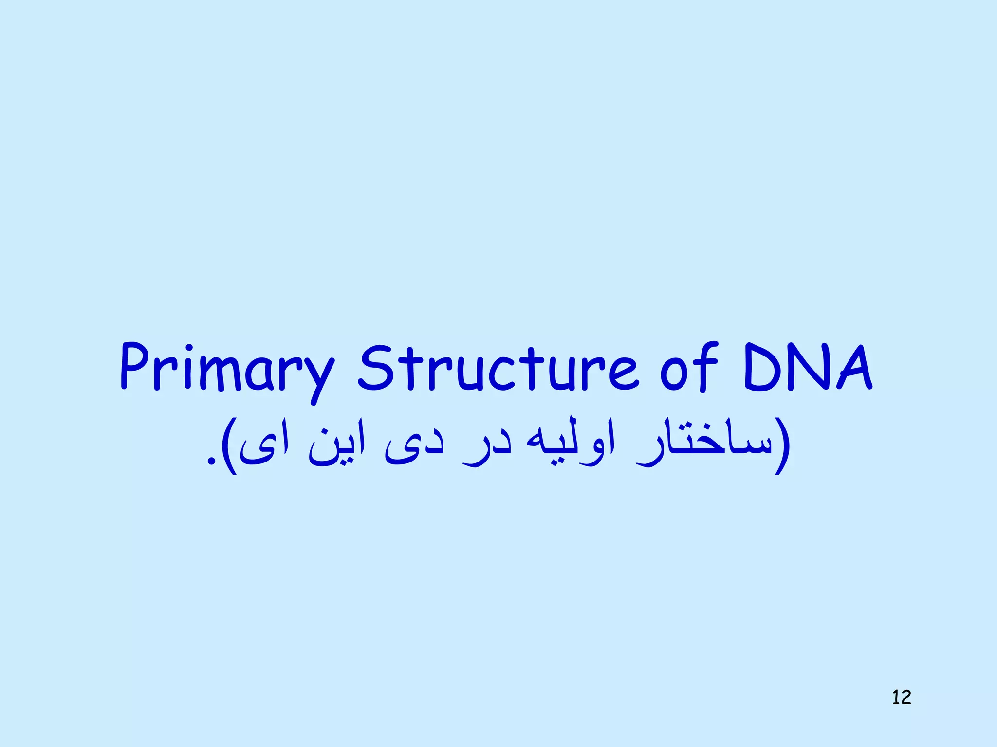 Primary Structure of DNA
. (
‫ای‬ ‫این‬ ‫دی‬ ‫در‬ ‫اولیه‬ ‫ساختار‬
)
12
 