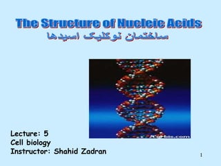 1
Lecture: 5
Cell biology
Instructor: Shahid Zadran
 