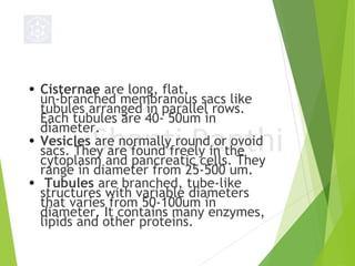 Cell-biology-1.pptx (1).pdf