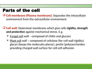 Cell Biology and functions of organelles | PPTX