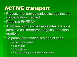 Cell Boundaries Part 2 | PPT
