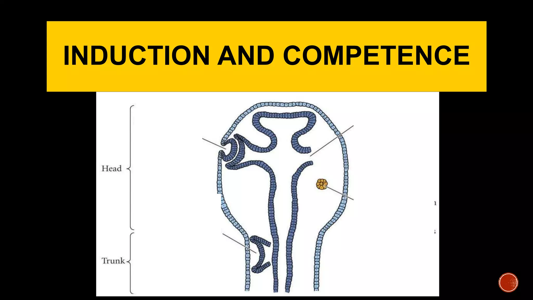 INDUCTION AND COMPETENCE
 