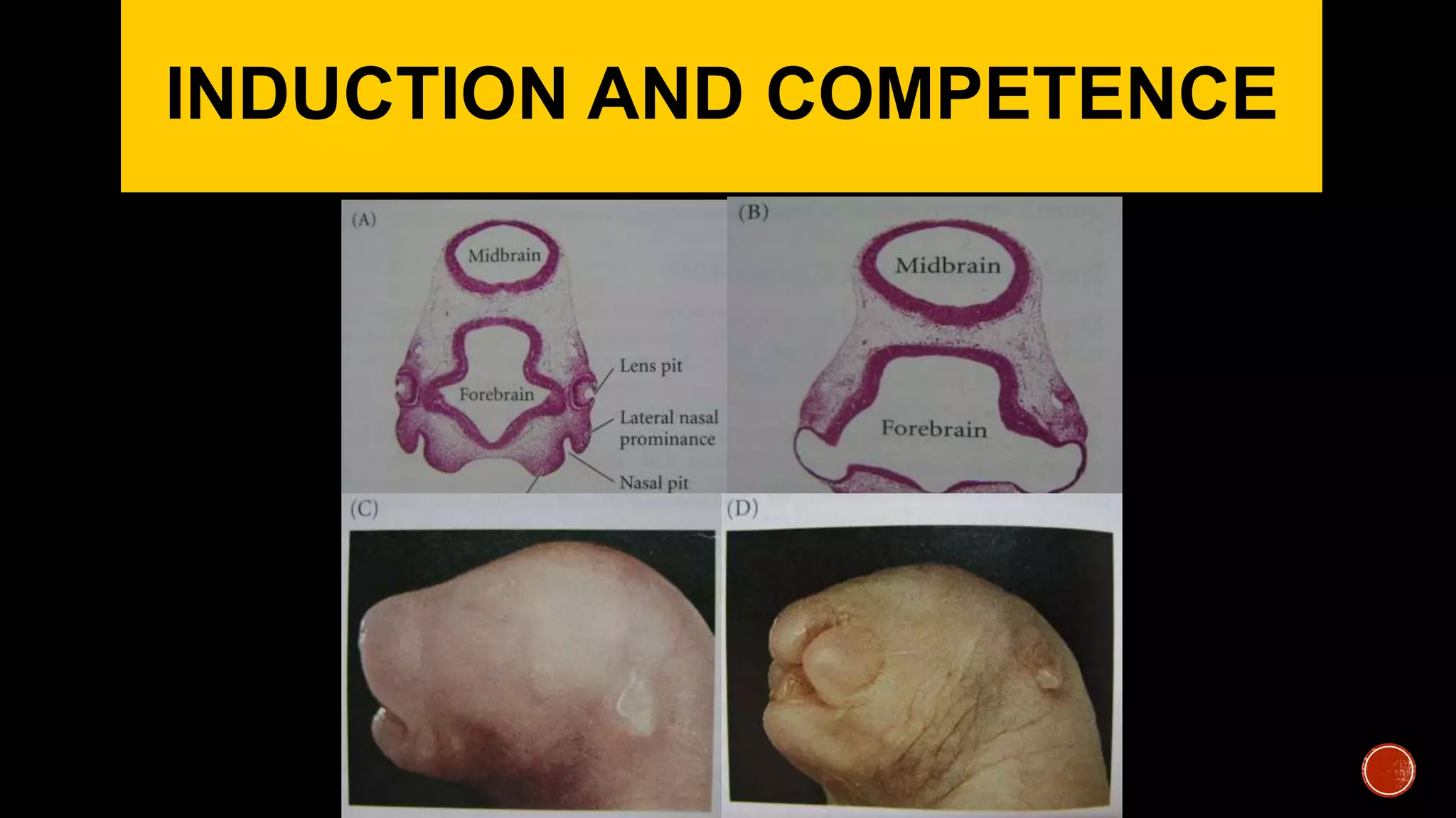 INDUCTION AND COMPETENCE
 