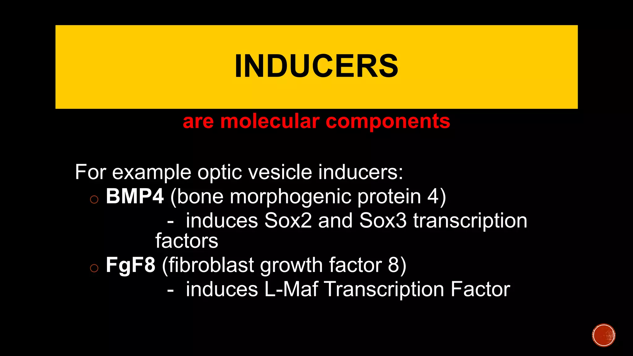 INDUCERS
are molecular components
For example optic vesicle inducers:
o BMP4 (bone morphogenic protein 4)
- induces Sox2 and Sox3 transcription
factors
o FgF8 (fibroblast growth factor 8)
- induces L-Maf Transcription Factor
 