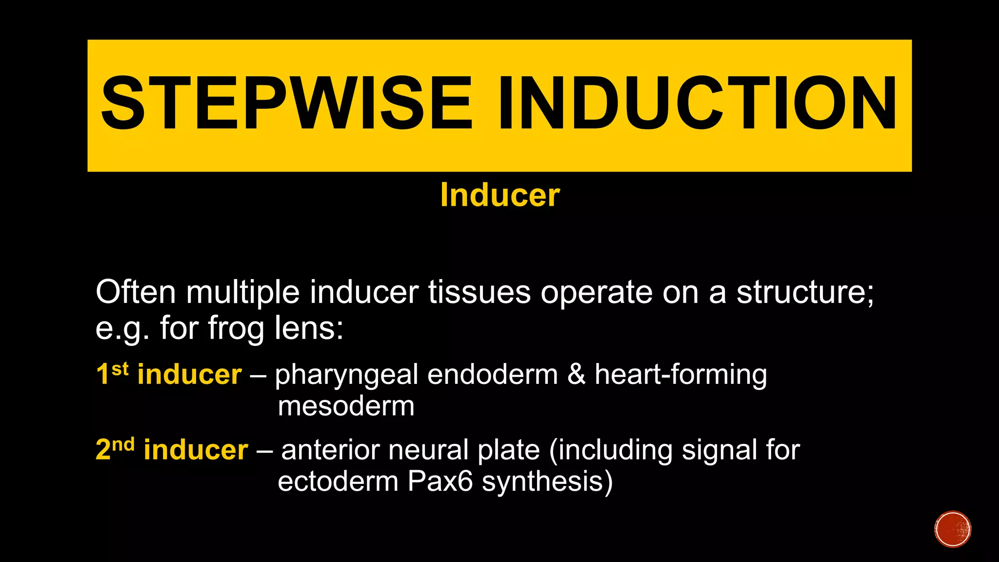 STEPWISE INDUCTION
Inducer
Often multiple inducer tissues operate on a structure;
e.g. for frog lens:
1st inducer – pharyngeal endoderm & heart-forming
mesoderm
2nd inducer – anterior neural plate (including signal for
ectoderm Pax6 synthesis)
 