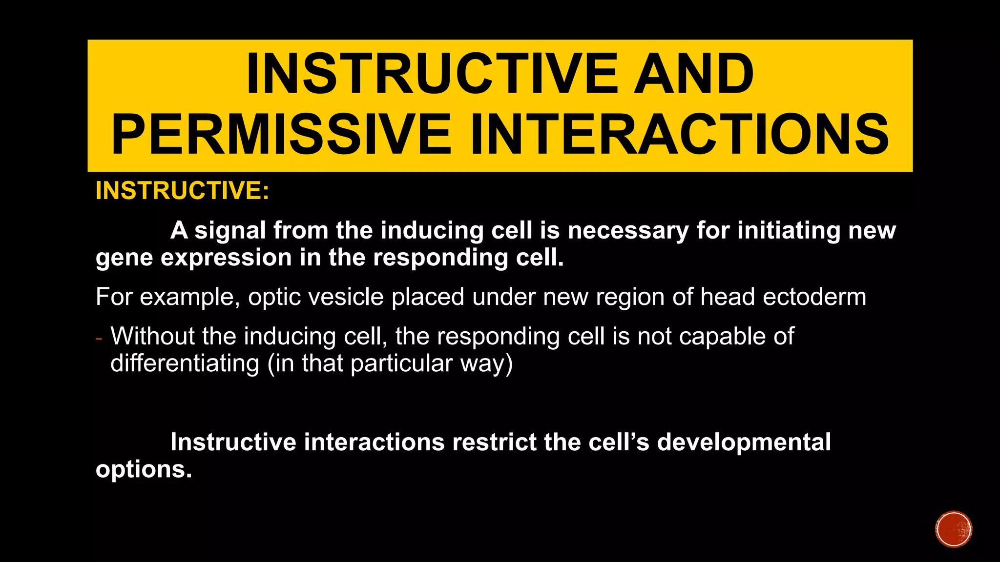 INSTRUCTIVE AND
PERMISSIVE INTERACTIONS
INSTRUCTIVE:
A signal from the inducing cell is necessary for initiating new
gene expression in the responding cell.
For example, optic vesicle placed under new region of head ectoderm
- Without the inducing cell, the responding cell is not capable of
differentiating (in that particular way)
Instructive interactions restrict the cell’s developmental
options.
 