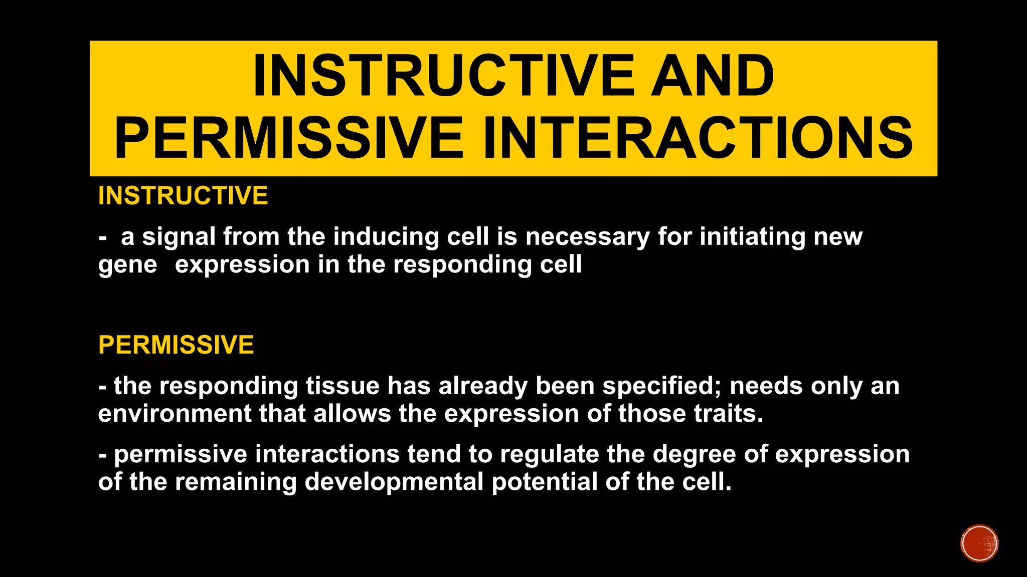 INSTRUCTIVE AND
PERMISSIVE INTERACTIONS
INSTRUCTIVE
- a signal from the inducing cell is necessary for initiating new
gene expression in the responding cell
PERMISSIVE
- the responding tissue has already been specified; needs only an
environment that allows the expression of those traits.
- permissive interactions tend to regulate the degree of expression
of the remaining developmental potential of the cell.
 