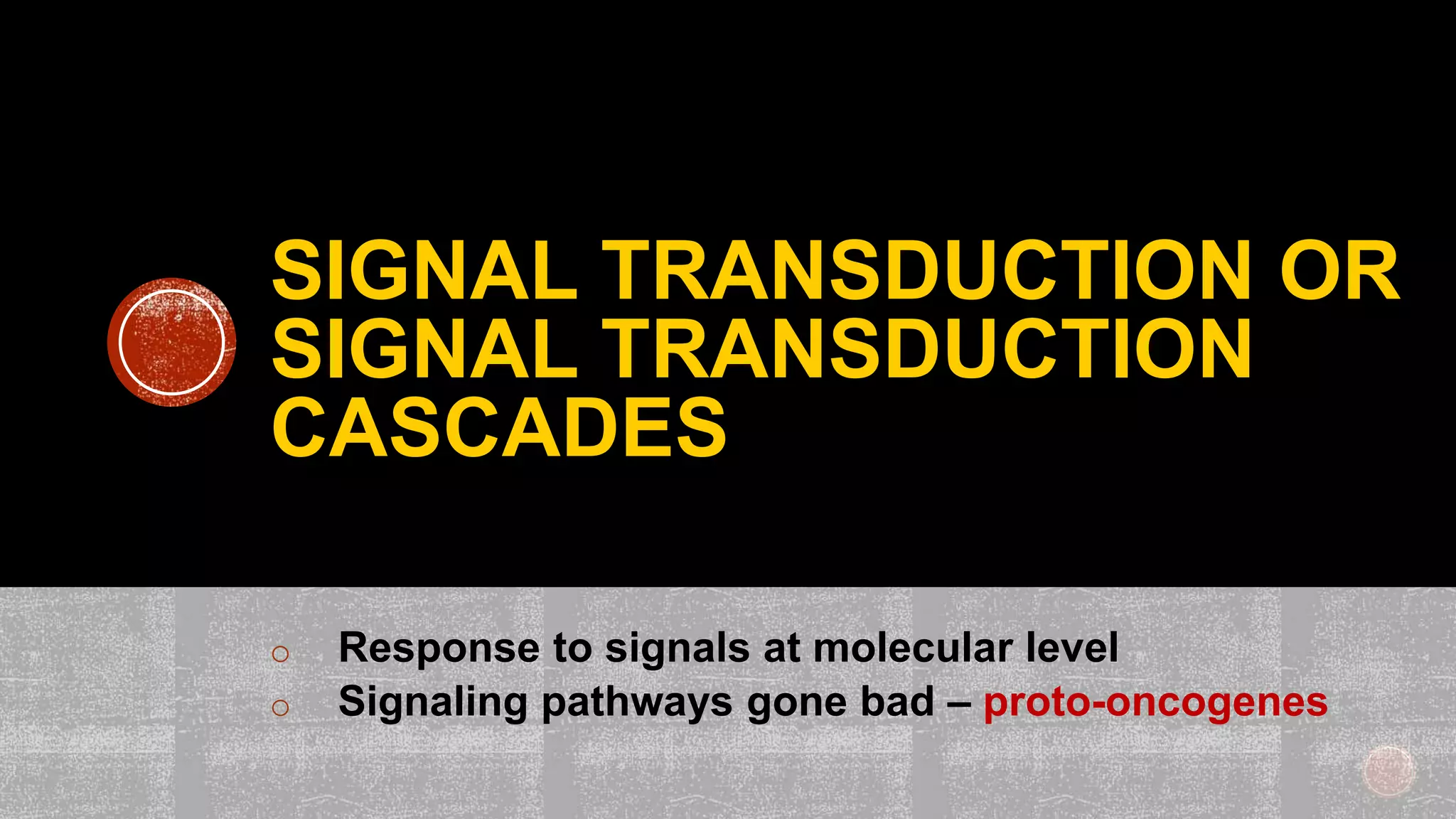SIGNAL TRANSDUCTION OR
SIGNAL TRANSDUCTION
CASCADES
o Response to signals at molecular level
o Signaling pathways gone bad – proto-oncogenes
 