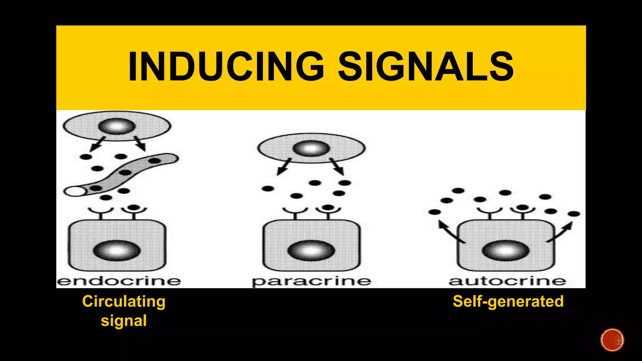 INDUCING SIGNALS
Self-generatedCirculating
signal
 