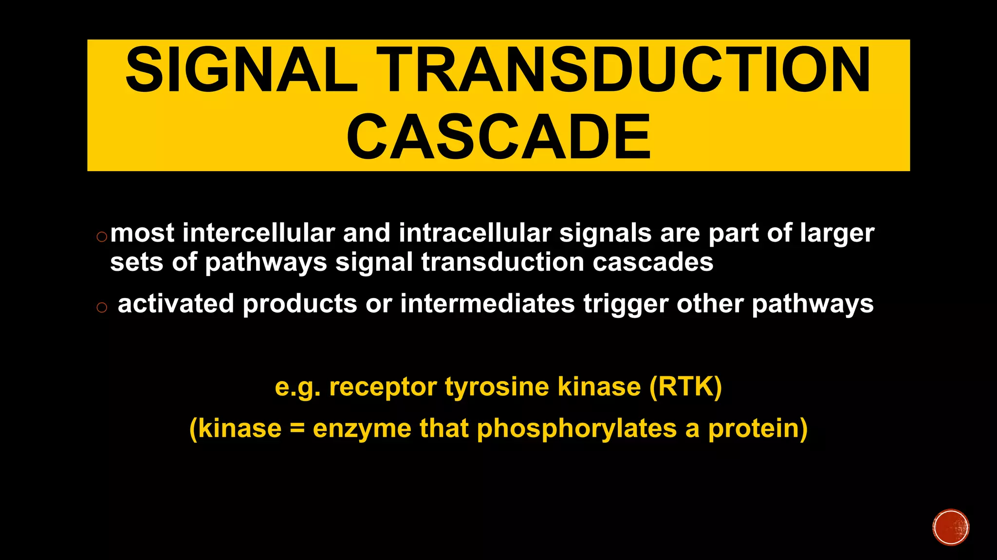 SIGNAL TRANSDUCTION
CASCADE
omost intercellular and intracellular signals are part of larger
sets of pathways signal transduction cascades
o activated products or intermediates trigger other pathways
e.g. receptor tyrosine kinase (RTK)
(kinase = enzyme that phosphorylates a protein)
 
