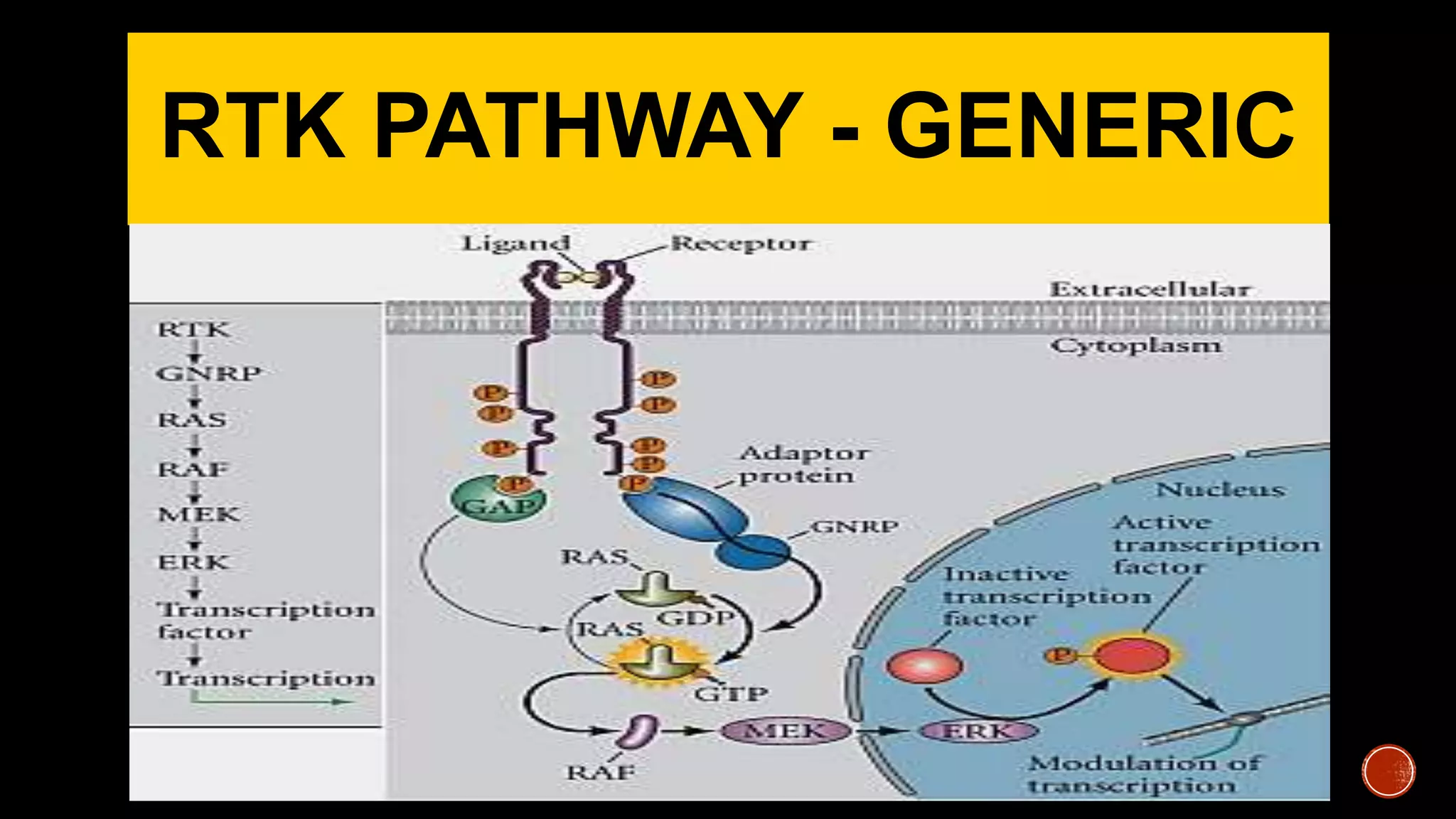 RTK PATHWAY - GENERIC
 