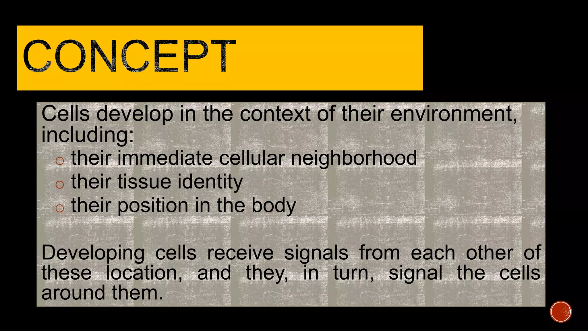 Cells develop in the context of their environment,
including:
o their immediate cellular neighborhood
o their tissue identity
o their position in the body
Developing cells receive signals from each other of
these location, and they, in turn, signal the cells
around them.
 