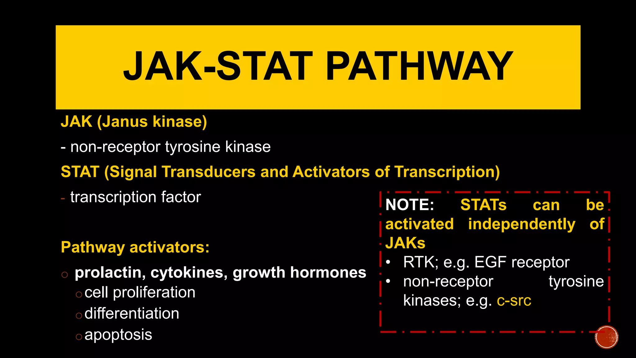 JAK-STAT PATHWAY
JAK (Janus kinase)
- non-receptor tyrosine kinase
STAT (Signal Transducers and Activators of Transcription)
- transcription factor
Pathway activators:
o prolactin, cytokines, growth hormones
ocell proliferation
odifferentiation
oapoptosis
NOTE: STATs can be
activated independently of
JAKs
• RTK; e.g. EGF receptor
• non-receptor tyrosine
kinases; e.g. c-src
 