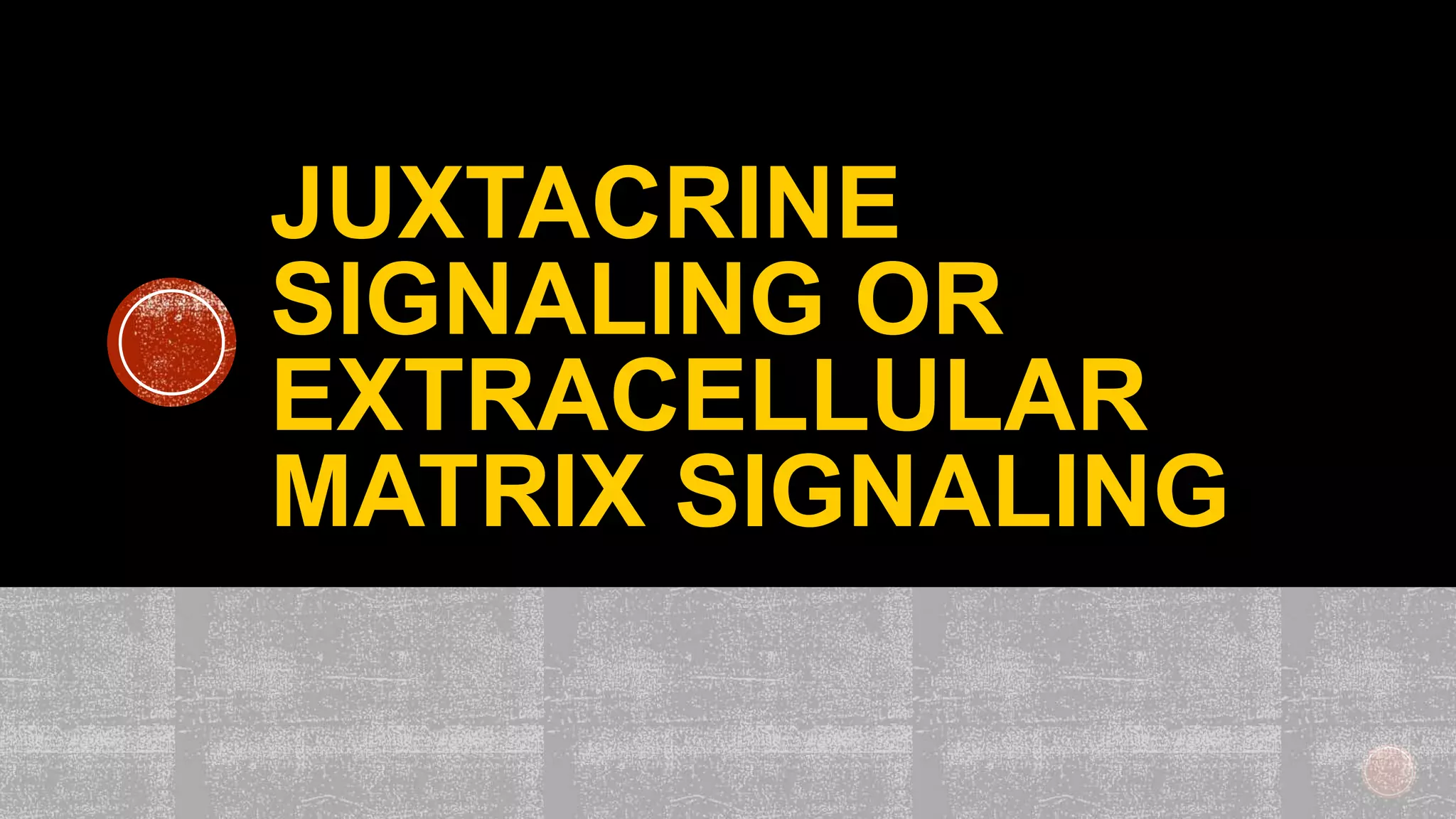 JUXTACRINE
SIGNALING OR
EXTRACELLULAR
MATRIX SIGNALING
 