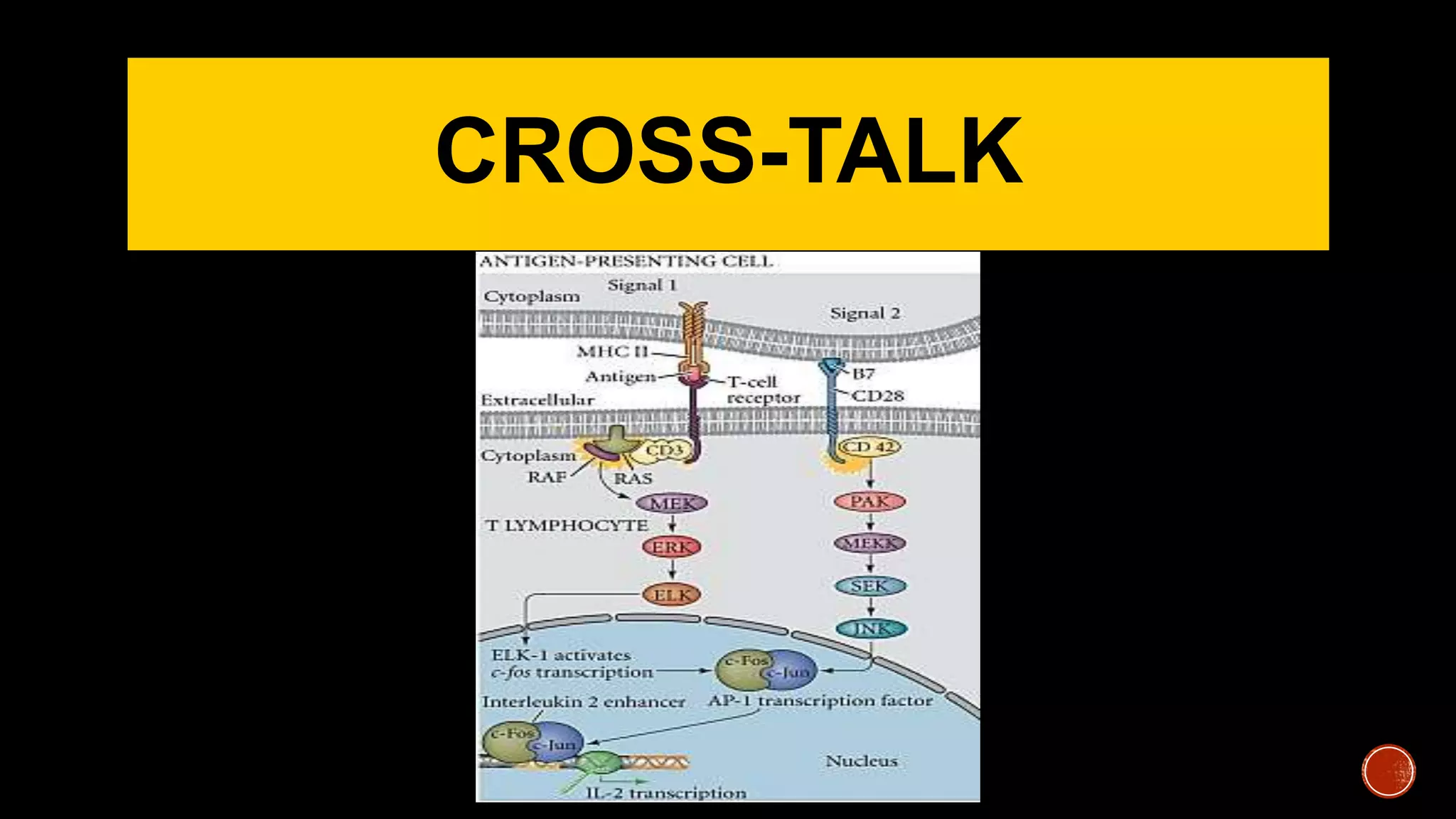 CROSS-TALK
 