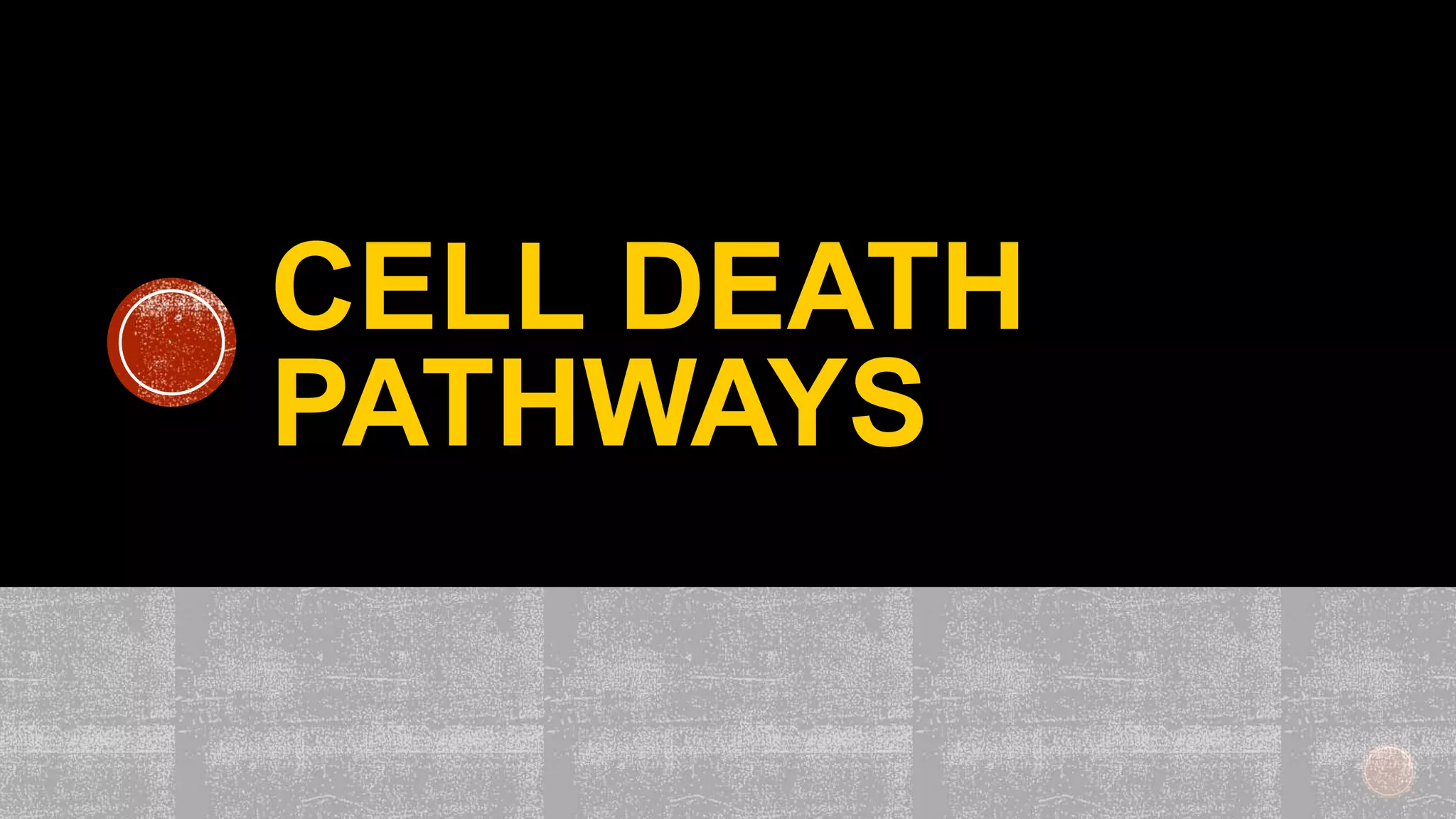 CELL DEATH
PATHWAYS
 