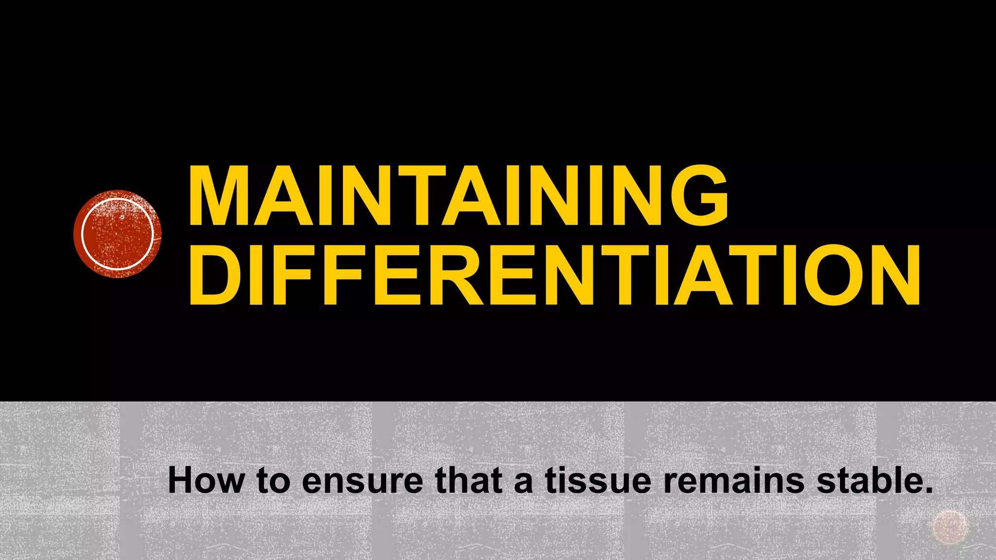 MAINTAINING
DIFFERENTIATION
How to ensure that a tissue remains stable.
 