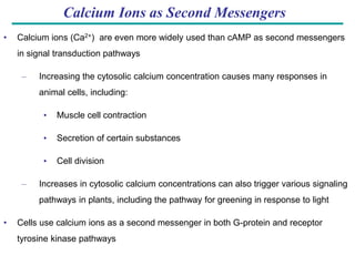 Cell-Communication and the types of cell communications | PDF