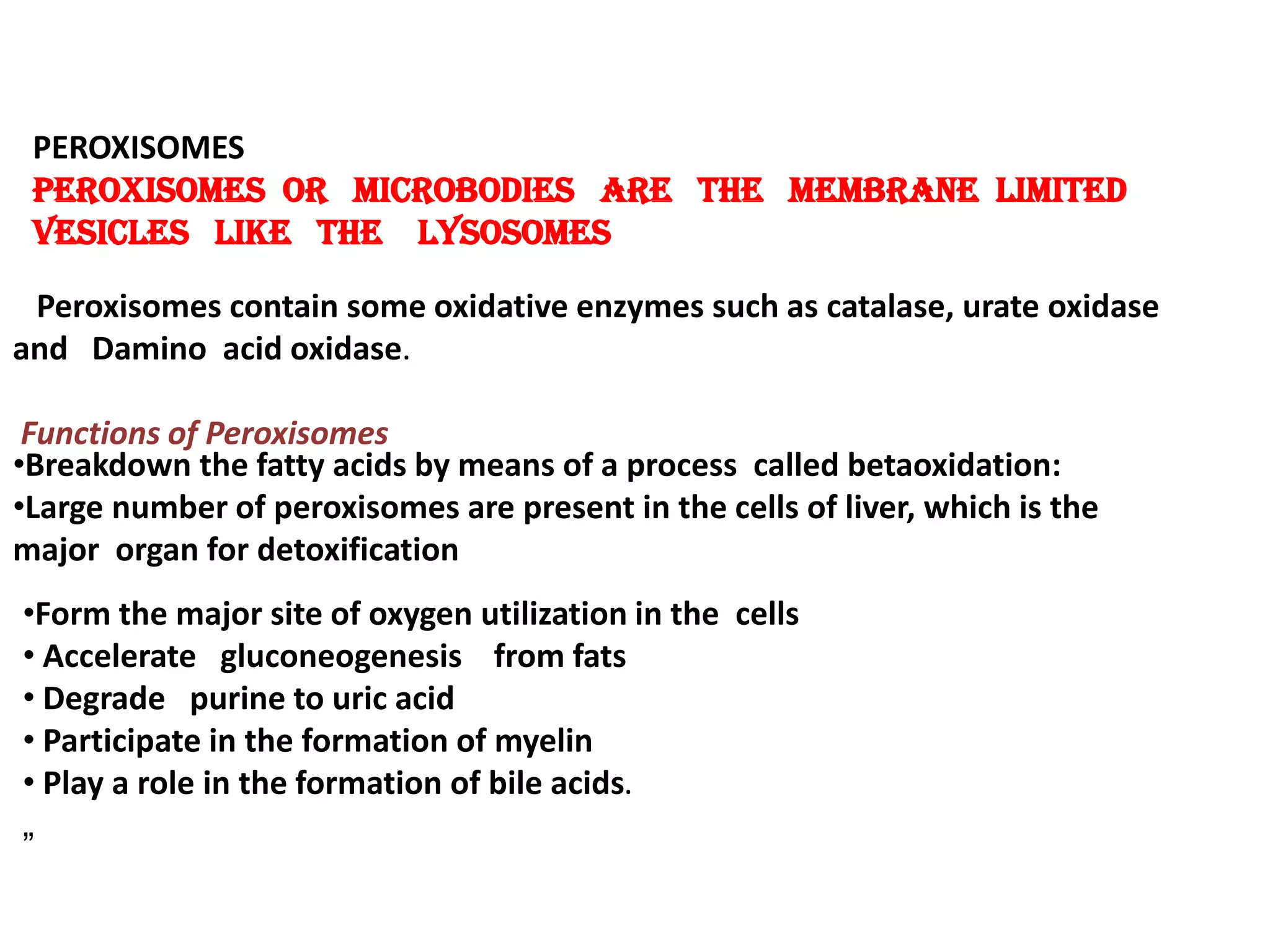 PEROXISOMES
Peroxisomes or microbodies are the membrane limited
vesicles like the lysosomes
Peroxisomes contain some oxidative enzymes such as catalase, urate oxidase
and Damino acid oxidase.
Functions of Peroxisomes
•Breakdown the fatty acids by means of a process called betaoxidation:
•Large number of peroxisomes are present in the cells of liver, which is the
major organ for detoxification
•Form the major site of oxygen utilization in the cells
• Accelerate gluconeogenesis from fats
• Degrade purine to uric acid
• Participate in the formation of myelin
• Play a role in the formation of bile acids.
„
 