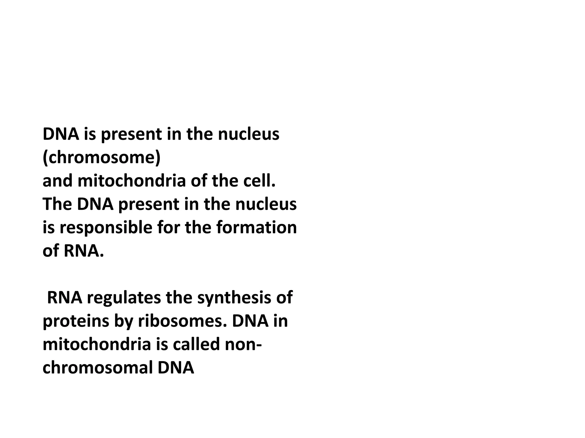 DNA is present in the nucleus
(chromosome)
and mitochondria of the cell.
The DNA present in the nucleus
is responsible for the formation
of RNA.
RNA regulates the synthesis of
proteins by ribosomes. DNA in
mitochondria is called non-
chromosomal DNA
 